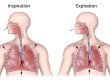 bienfaits-de-la-sophrologie