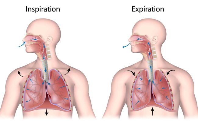 bienfaits-de-la-sophrologie bienfaits-de-la-sophrologie