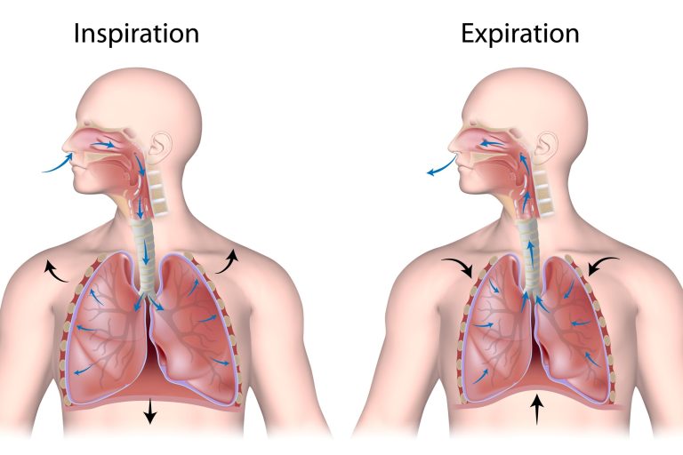 bienfaits-de-la-sophrologie