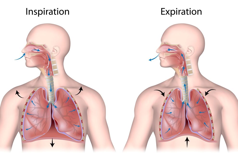 bienfaits-de-la-sophrologie